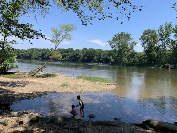 Children playing by the riverbank during summer.