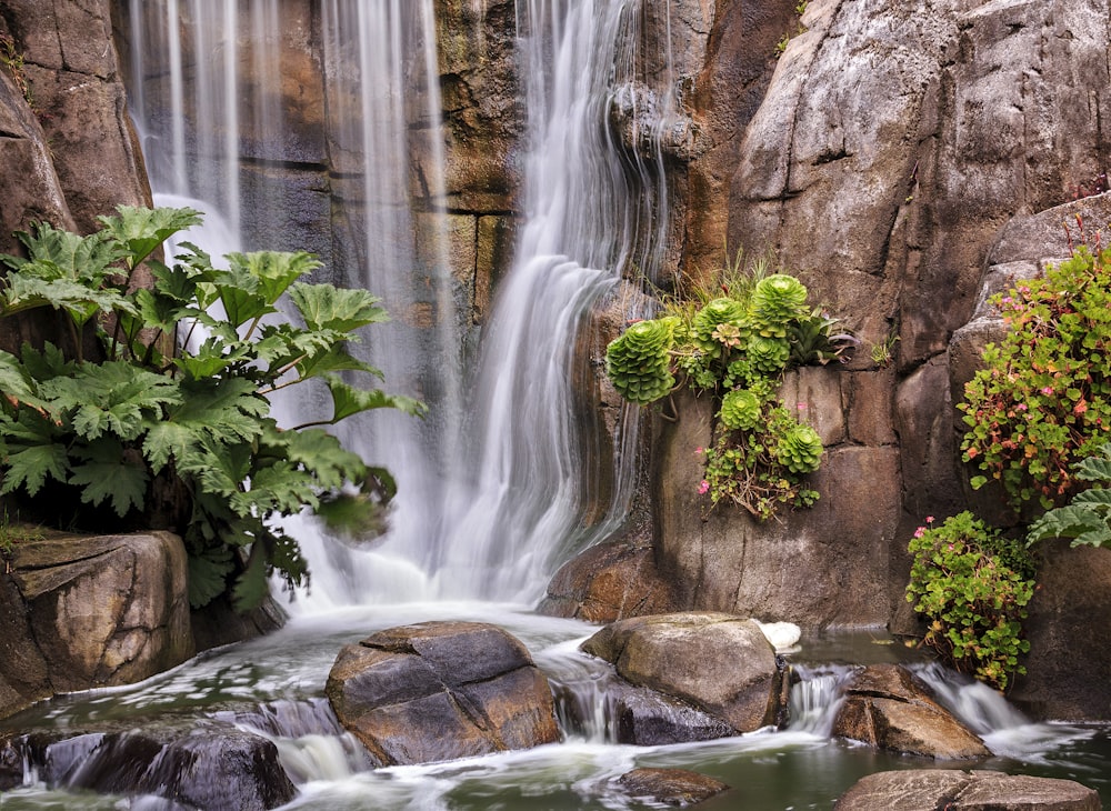 water falls with green moss