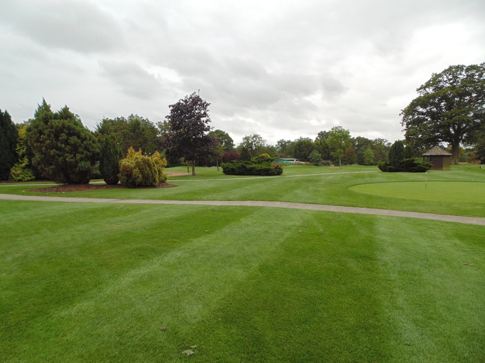 green grass field with trees under white clouds during daytime