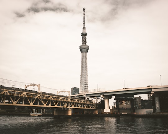 gray concrete bridge under cloudy sky during daytime in Sumida Park Japan