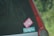 Car window with two stickers, one pink with a statement about tattoos and the other blue expressing nausea related to life.
