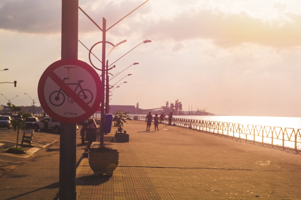 people walking on sidewalk near body of water during daytime