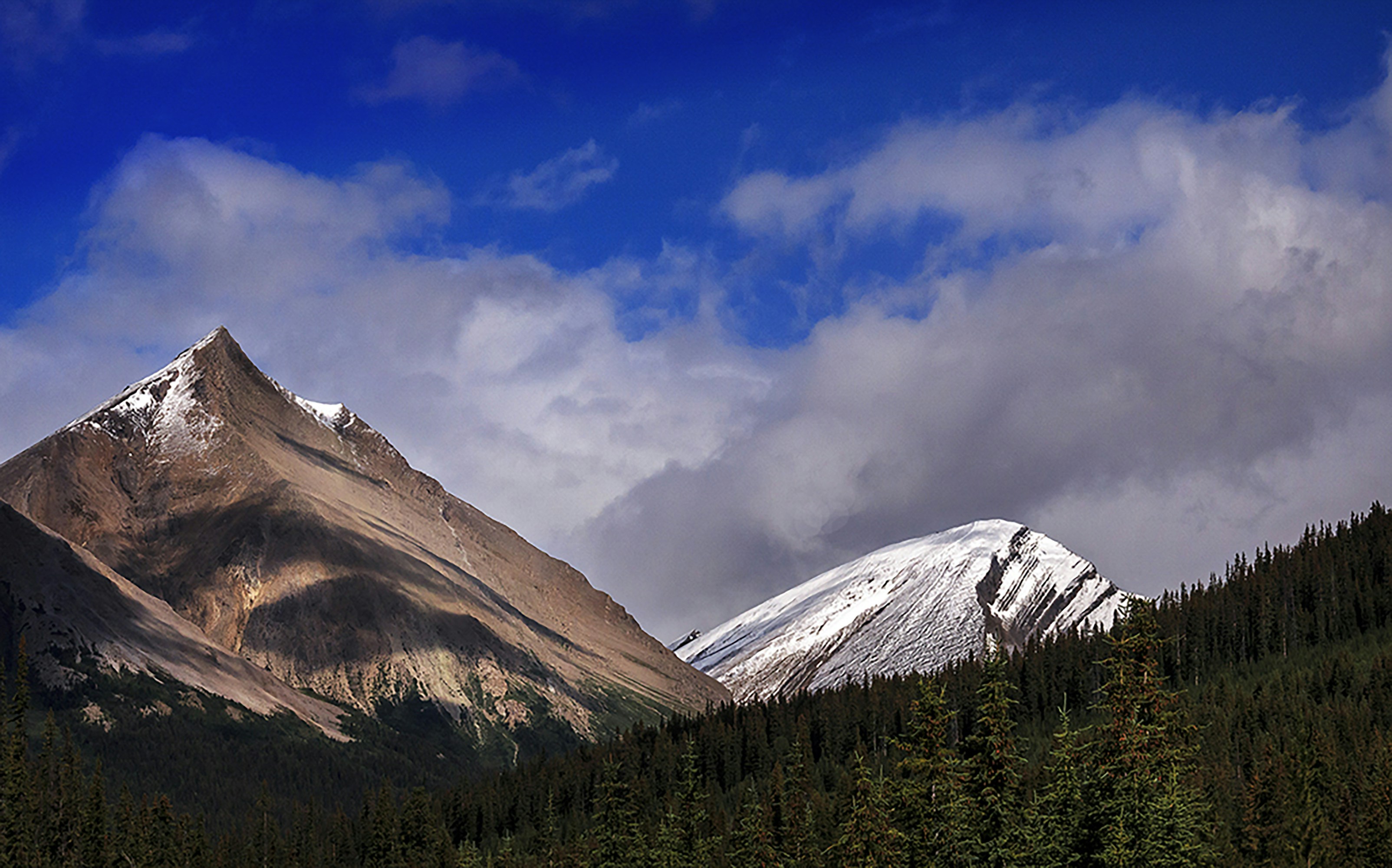 Photo by sterlinglanier