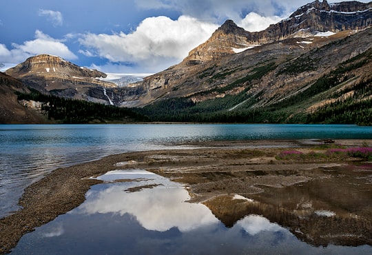lake near green and brown mountains under white clouds and blue sky during daytime in Bow Lake Canada