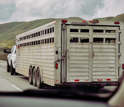 A livestock trailer is being towed by a white pickup truck on a highway. The trailer, constructed of metal, has multiple ventilation slats on its sides. It is equipped with several wheels and appears to be designed for transporting animals. The surrounding landscape includes green hills under a cloudy sky.