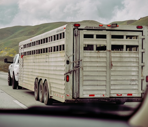 A livestock trailer is being towed by a white pickup truck on a highway. The trailer, constructed of metal, has multiple ventilation slats on its sides. It is equipped with several wheels and appears to be designed for transporting animals. The surrounding landscape includes green hills under a cloudy sky.