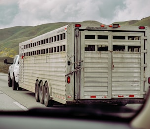 A livestock trailer is being towed by a white pickup truck on a highway. The trailer, constructed of metal, has multiple ventilation slats on its sides. It is equipped with several wheels and appears to be designed for transporting animals. The surrounding landscape includes green hills under a cloudy sky.