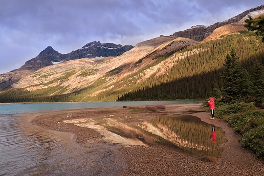person in red jacket standing on brown sand near lake during daytime in Bow Lake Canada