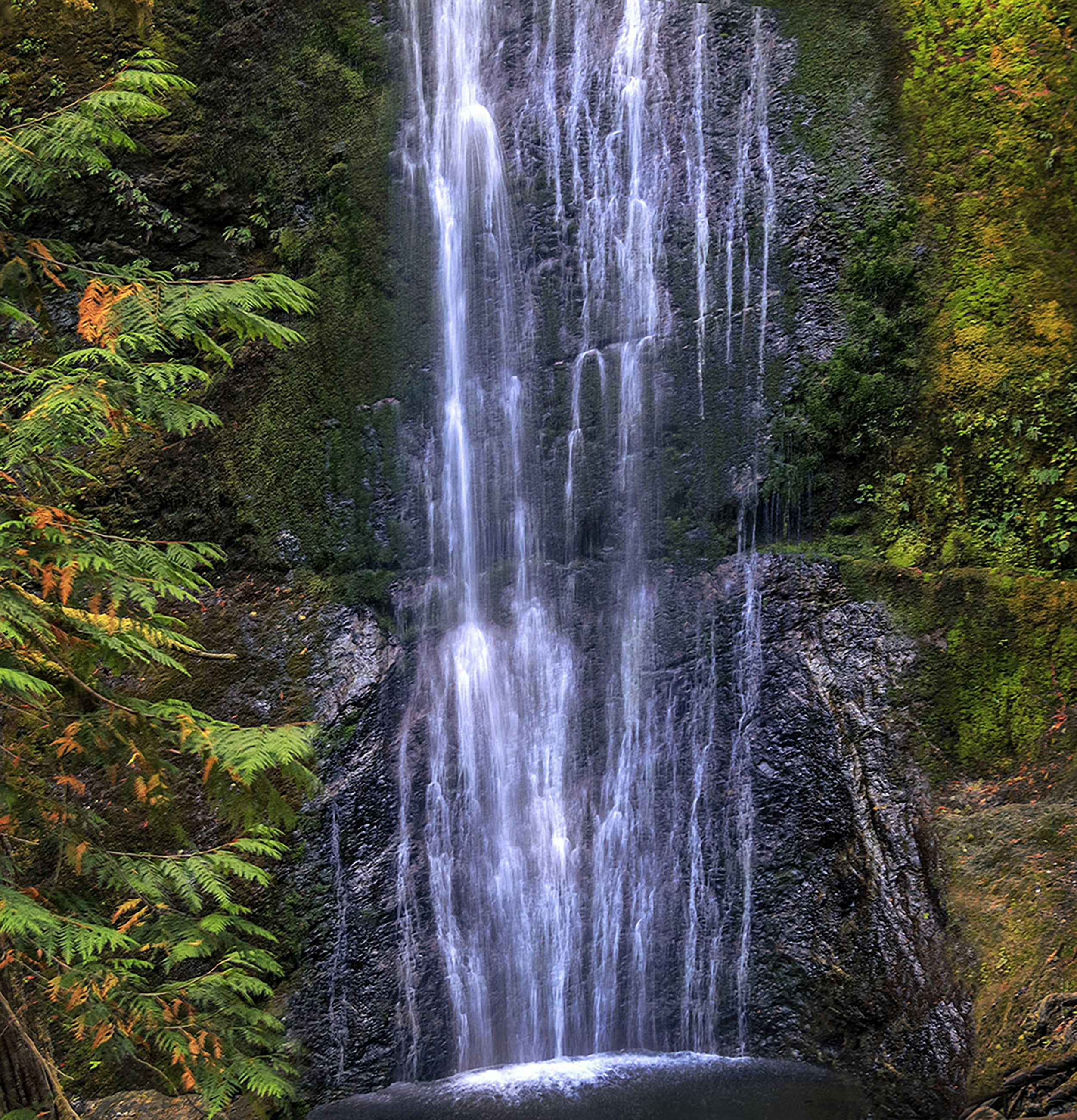 Photo by sterlinglanier