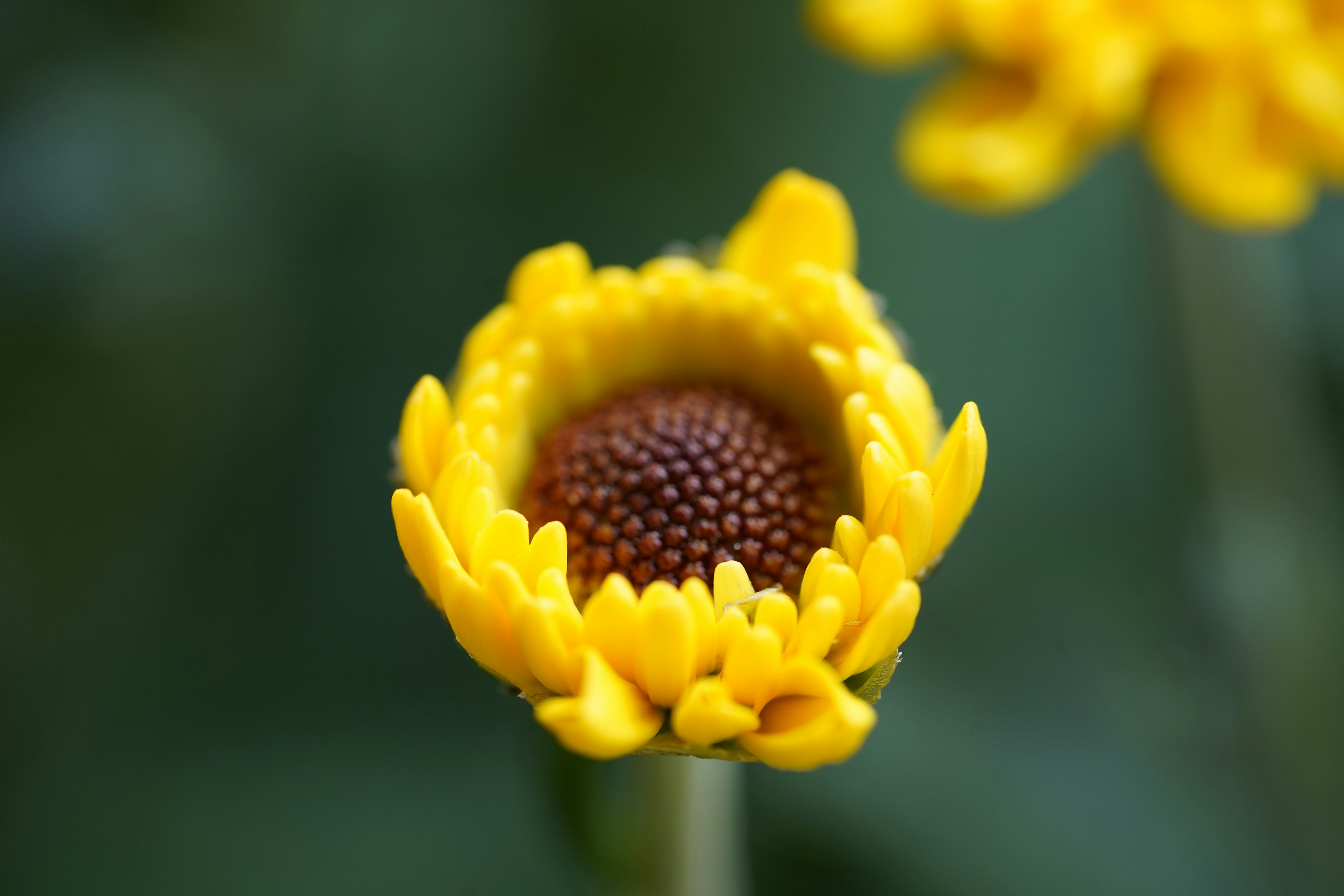 An illustration showcasing the power of color and shape in emotional design