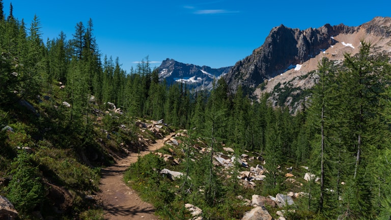 A scenic trail winding through dense woods with distant mountain ridges on the horizon.