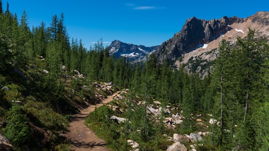 A scenic mountain trail meanders through a dense forest of evergreen trees, with rocky terrain and patches of green vegetation. In the background, towering mountains with rugged peaks partially covered in snow are visible under a clear blue sky.