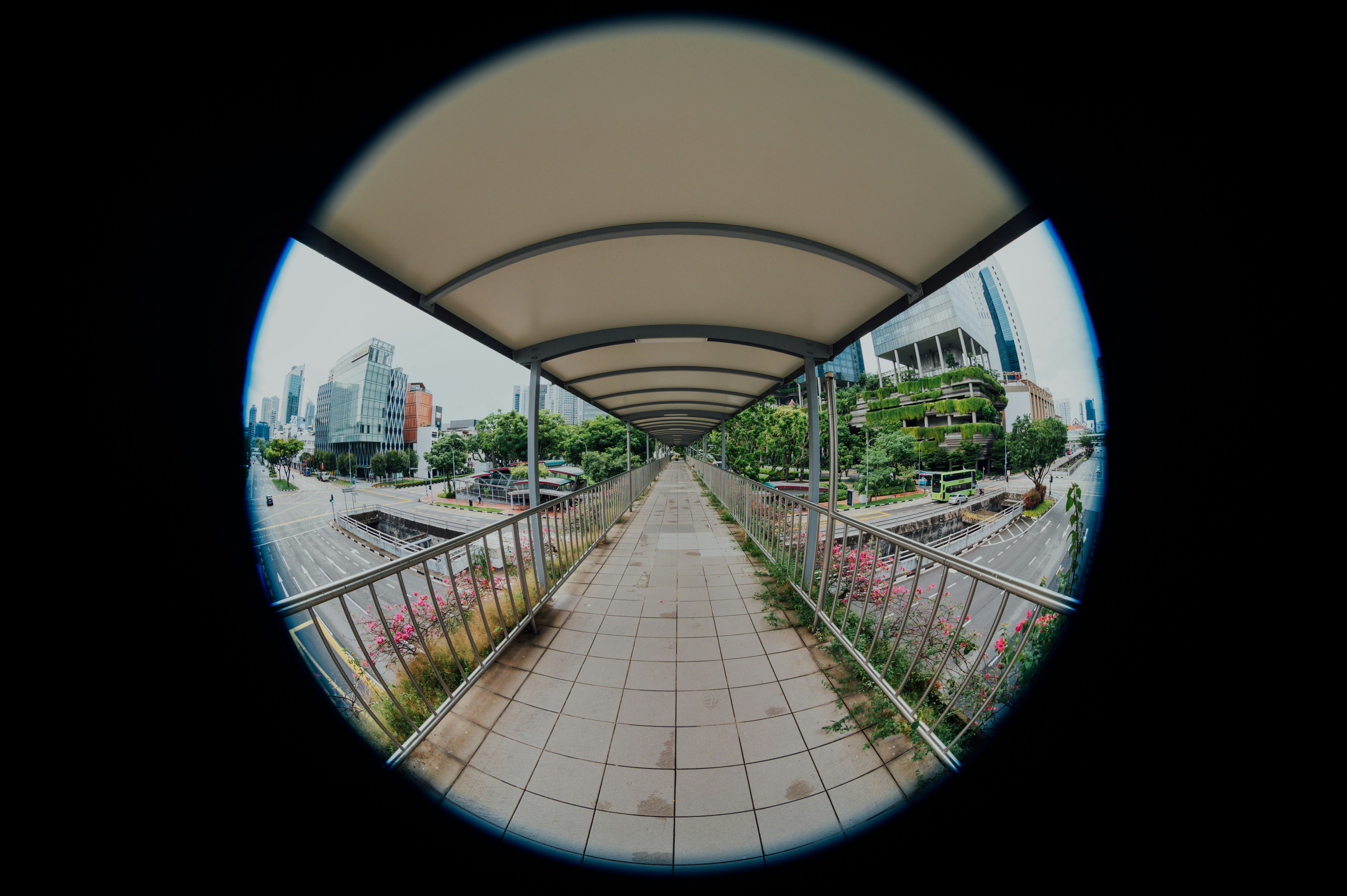 Mobile Development Trends That Will Shape 2025 for Photo, Video & Audio Production