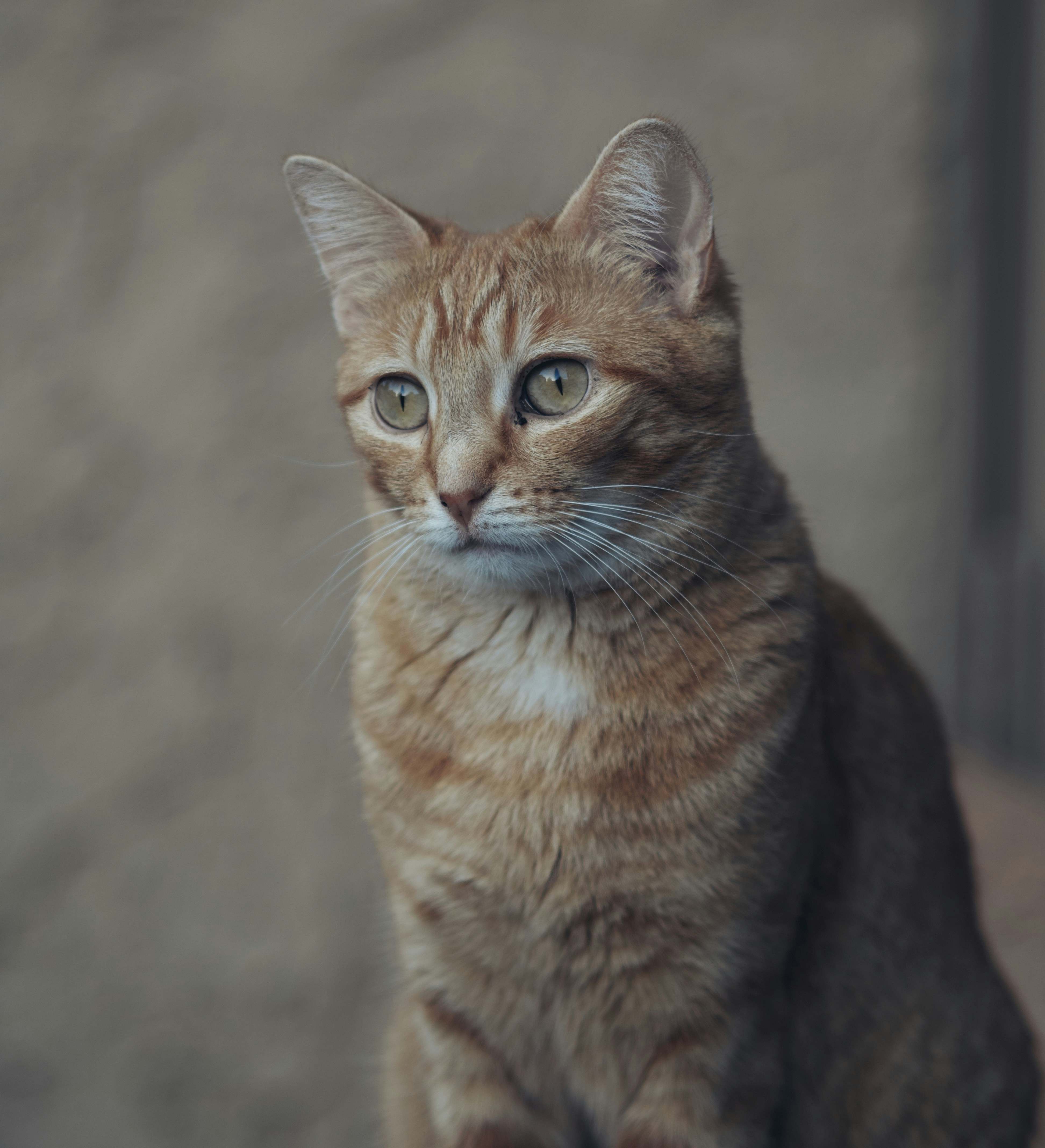 Photo by chrisjdavis