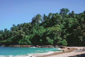 Travelers enjoying a serene beach with crystal clear water on a luxury vacation.