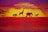 Silhouettes of animals including a giraffe, elephant, and wildebeest appear against a vibrant sunset, with warm orange, red, and yellow tones dominating the scene. The landscape has an African savanna theme, with acacia trees visible on the left.