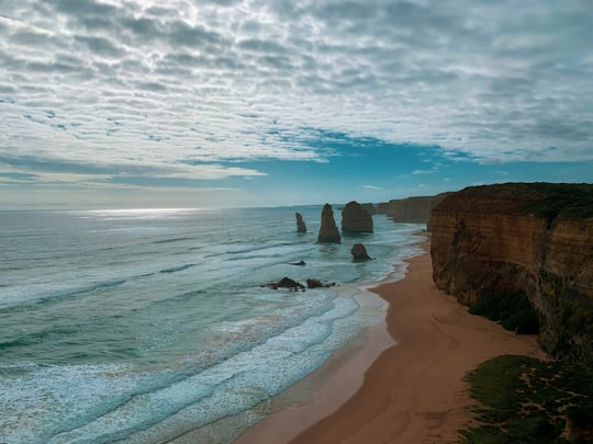 brown rock formation on seashore during daytime in Twelve Apostles Marine National Park Australia