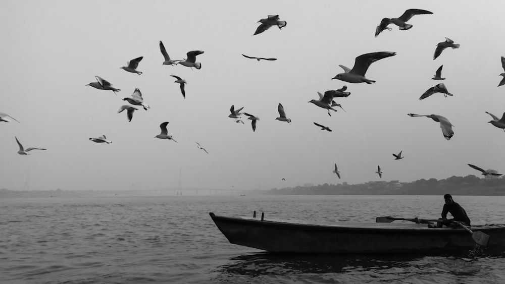 Vögel, die tagsüber über das Meer fliegen