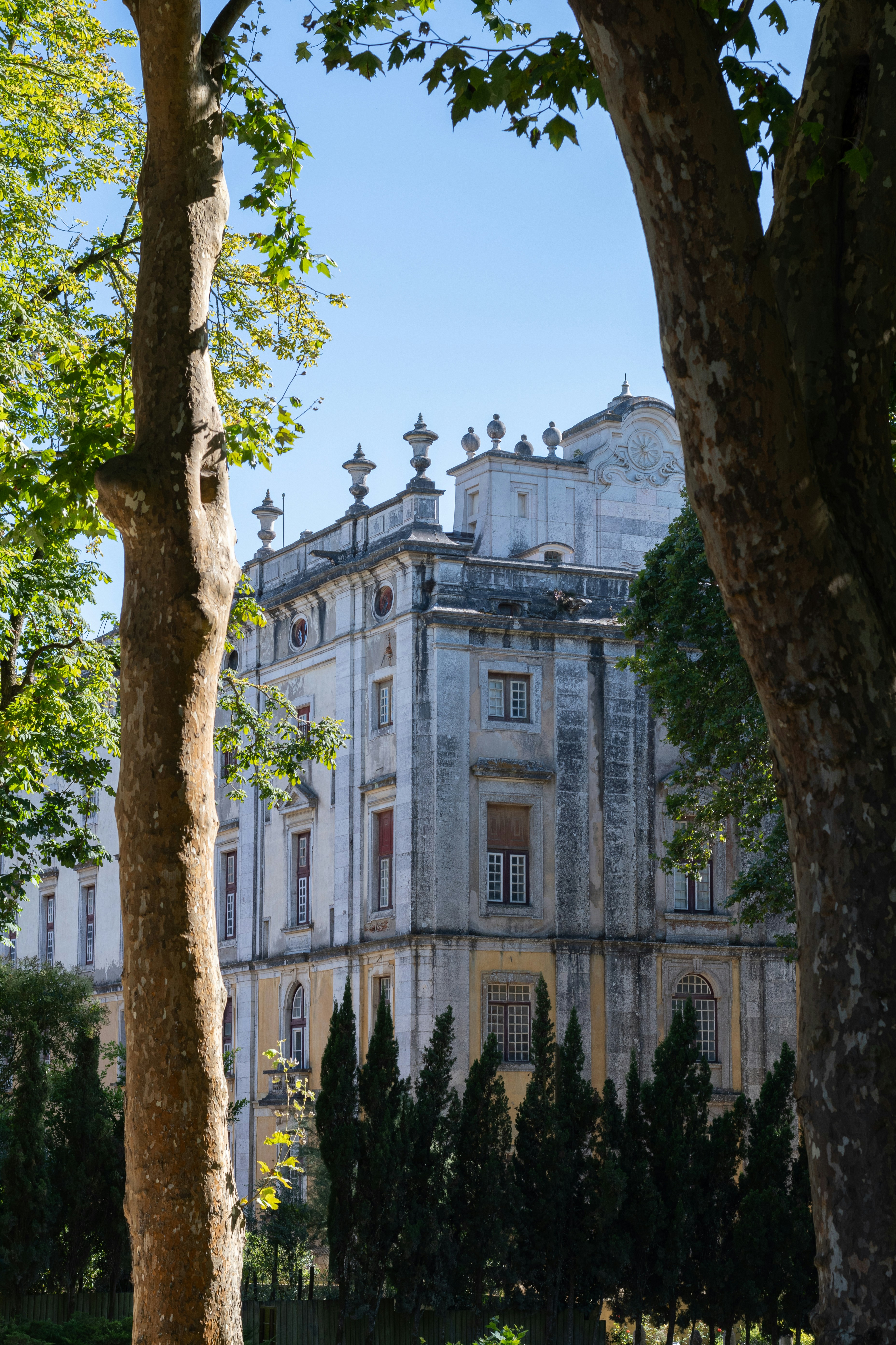 Photo by santiagoyumeng