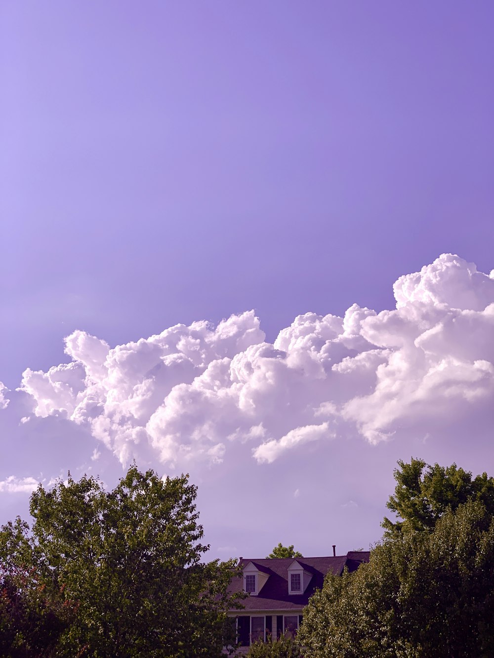 árvores verdes sob o céu azul e nuvens brancas durante o dia