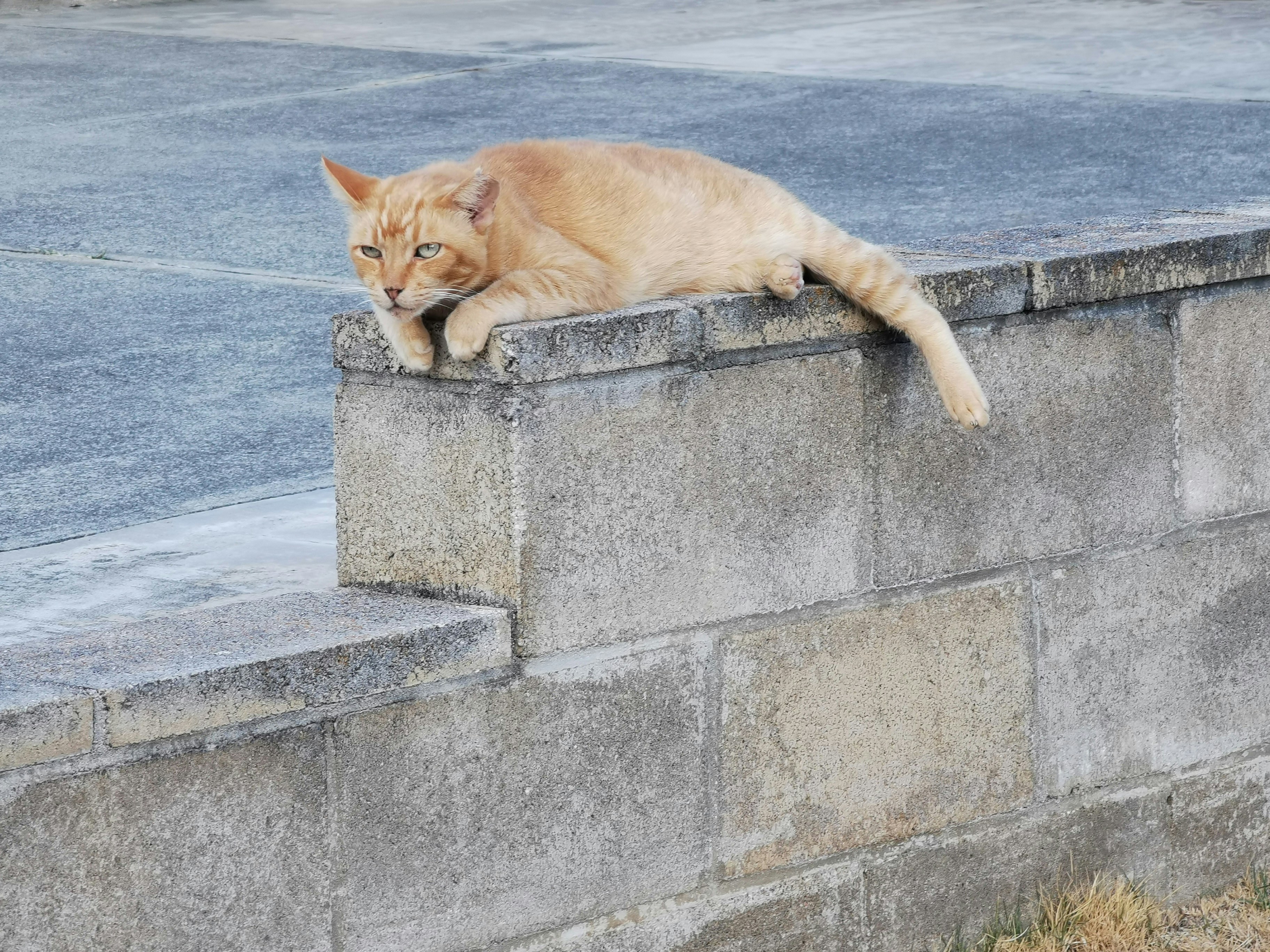 Photo by atoto_photo