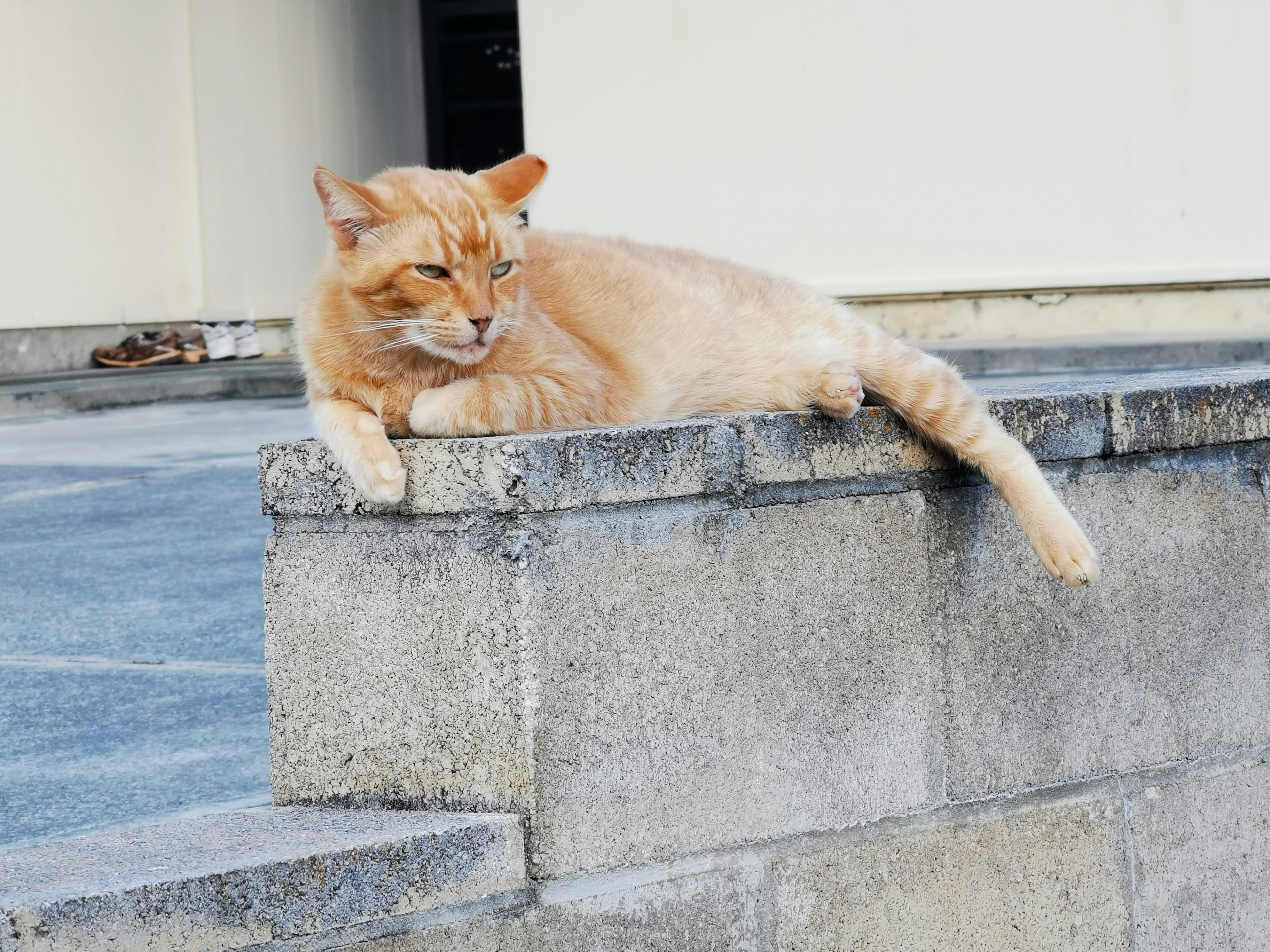 Photo by atoto_photo