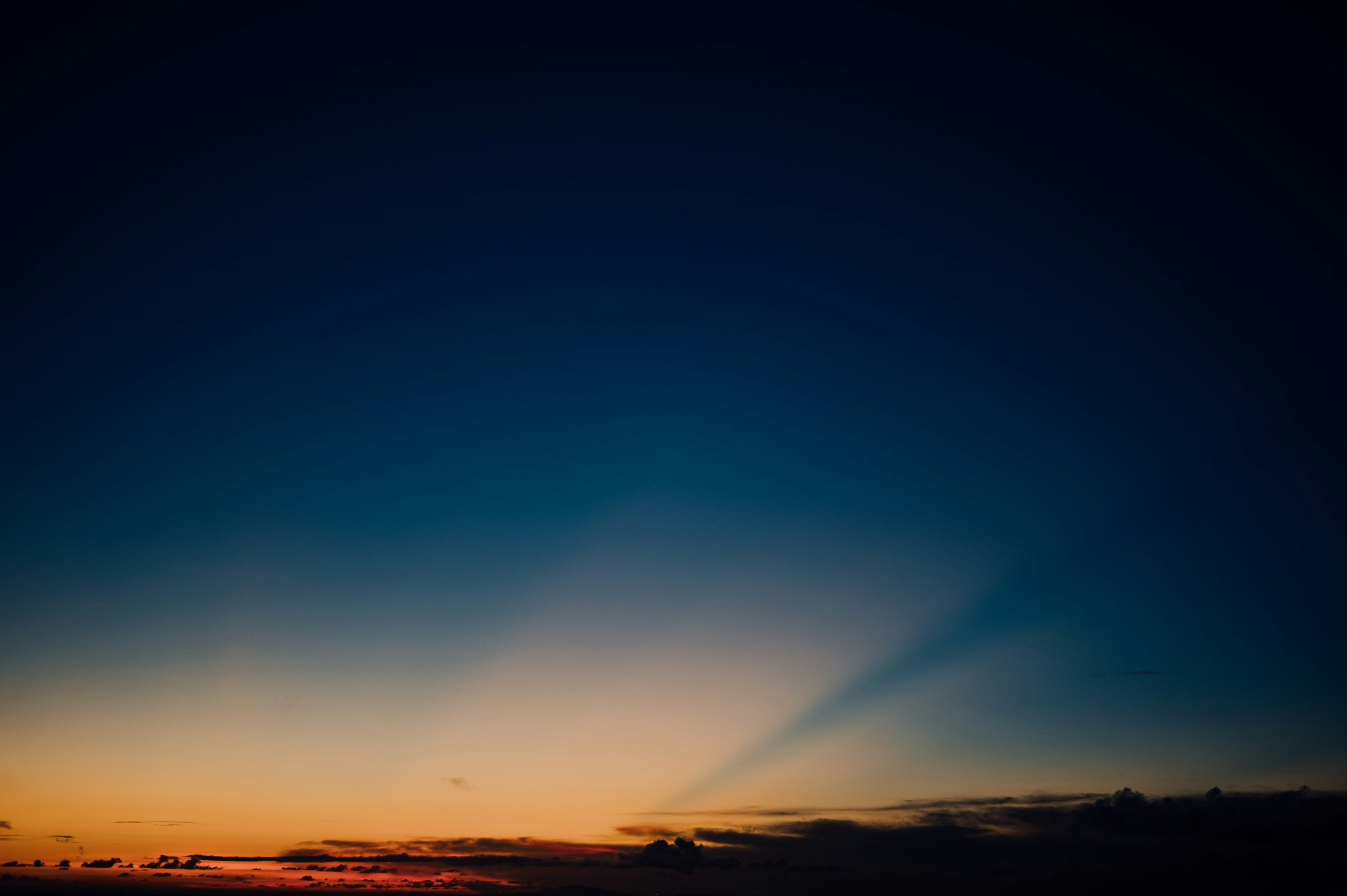 Photo by chuttersnap