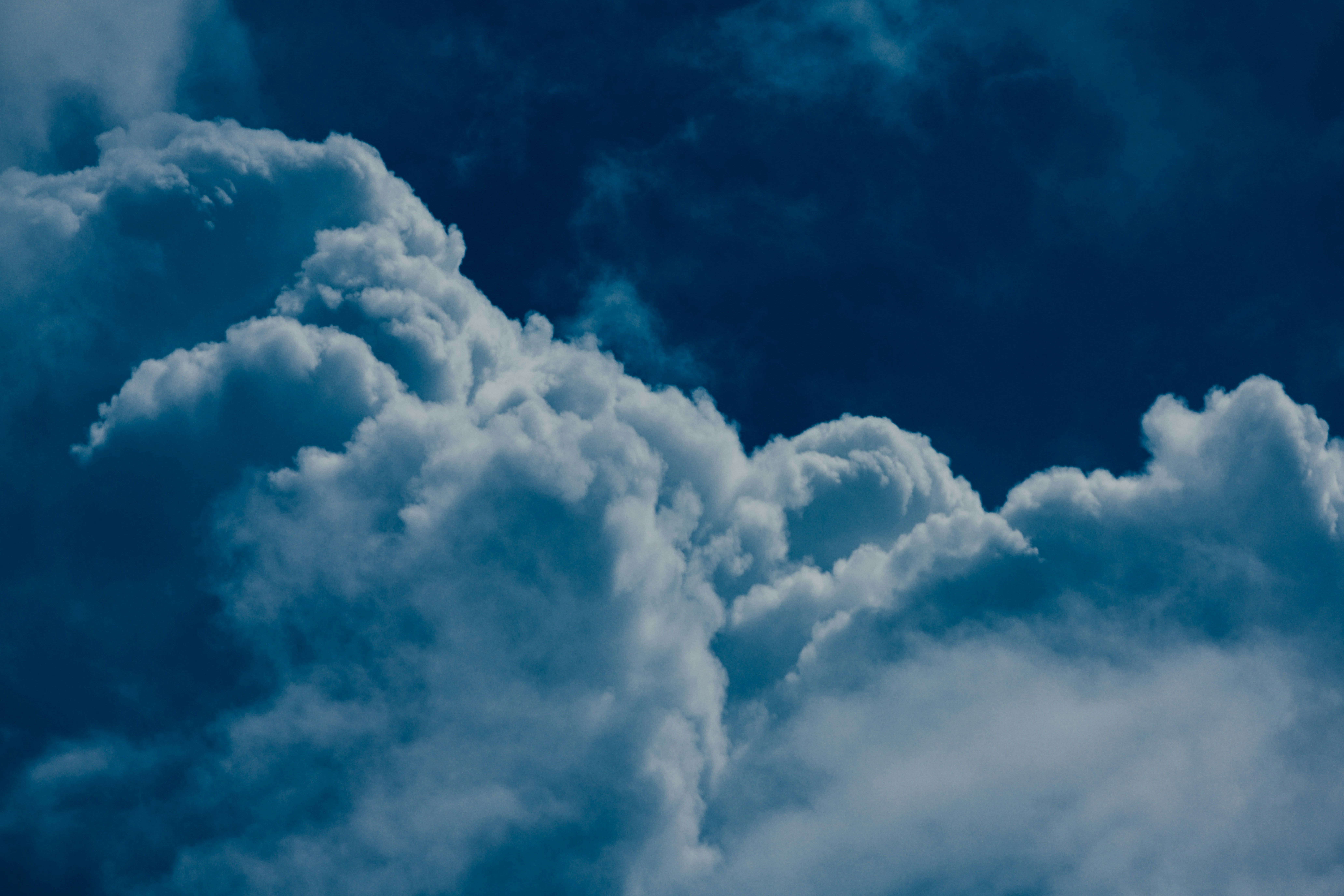 Photo by chuttersnap