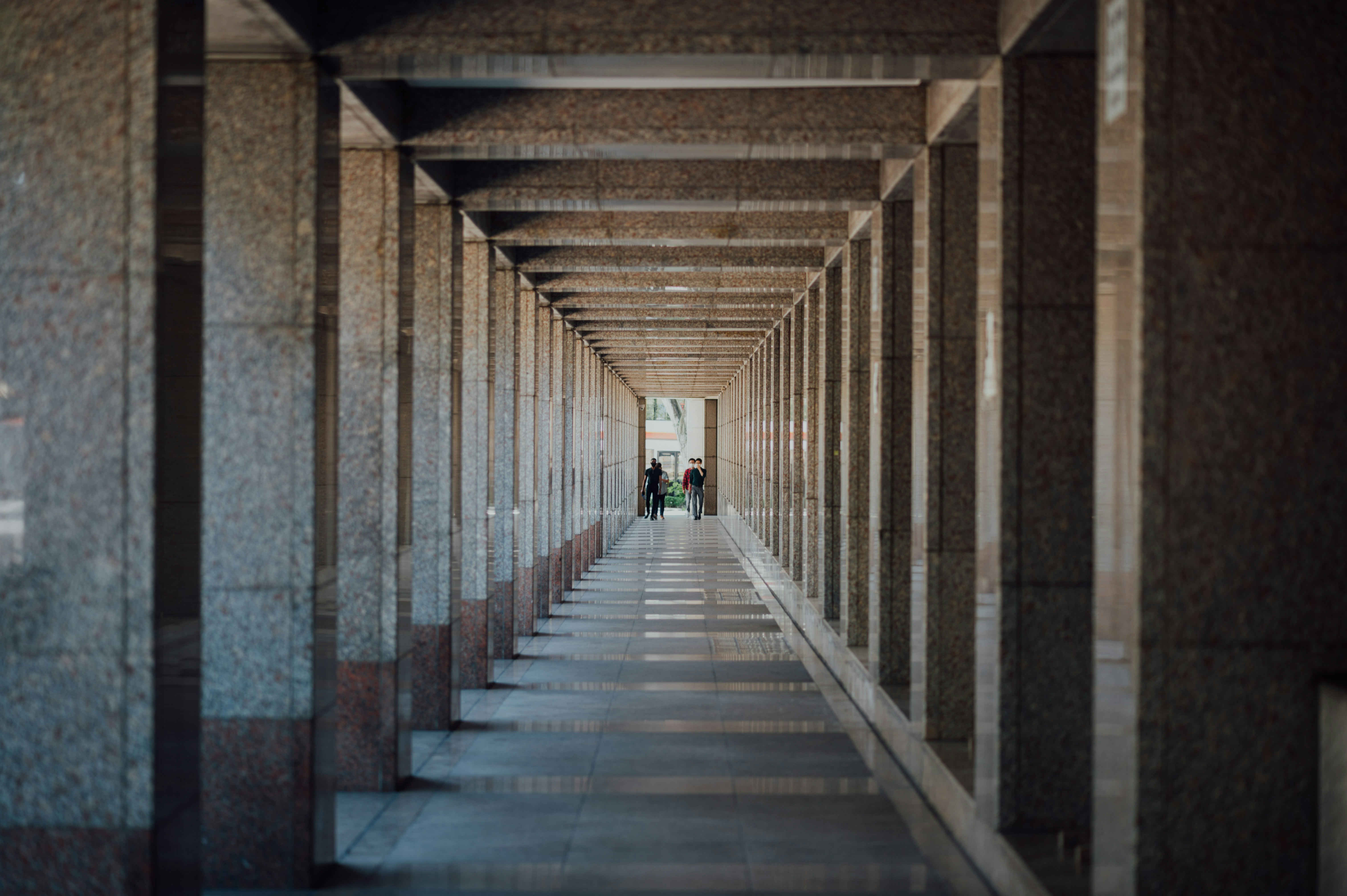 Photo by chuttersnap