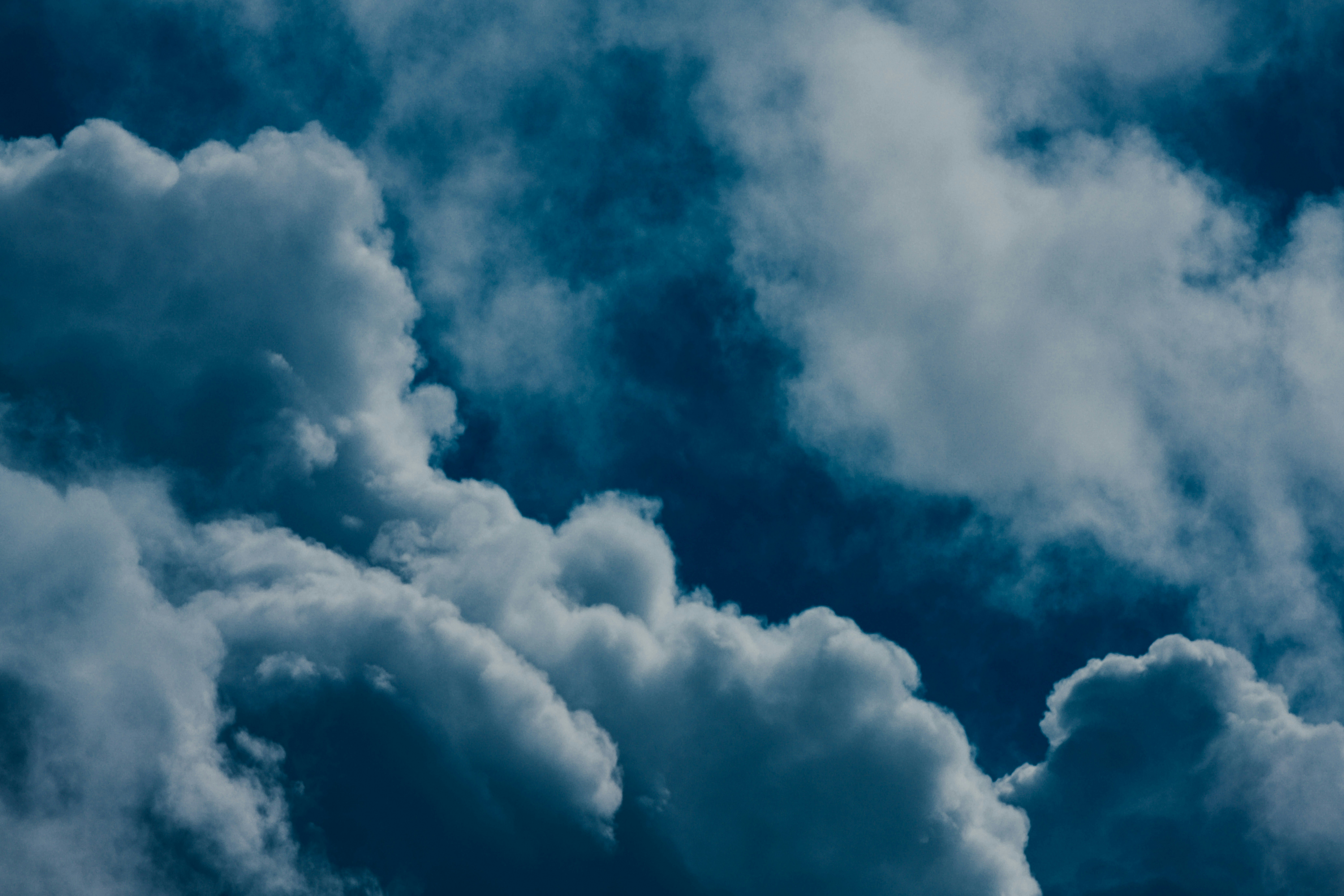 Photo by chuttersnap