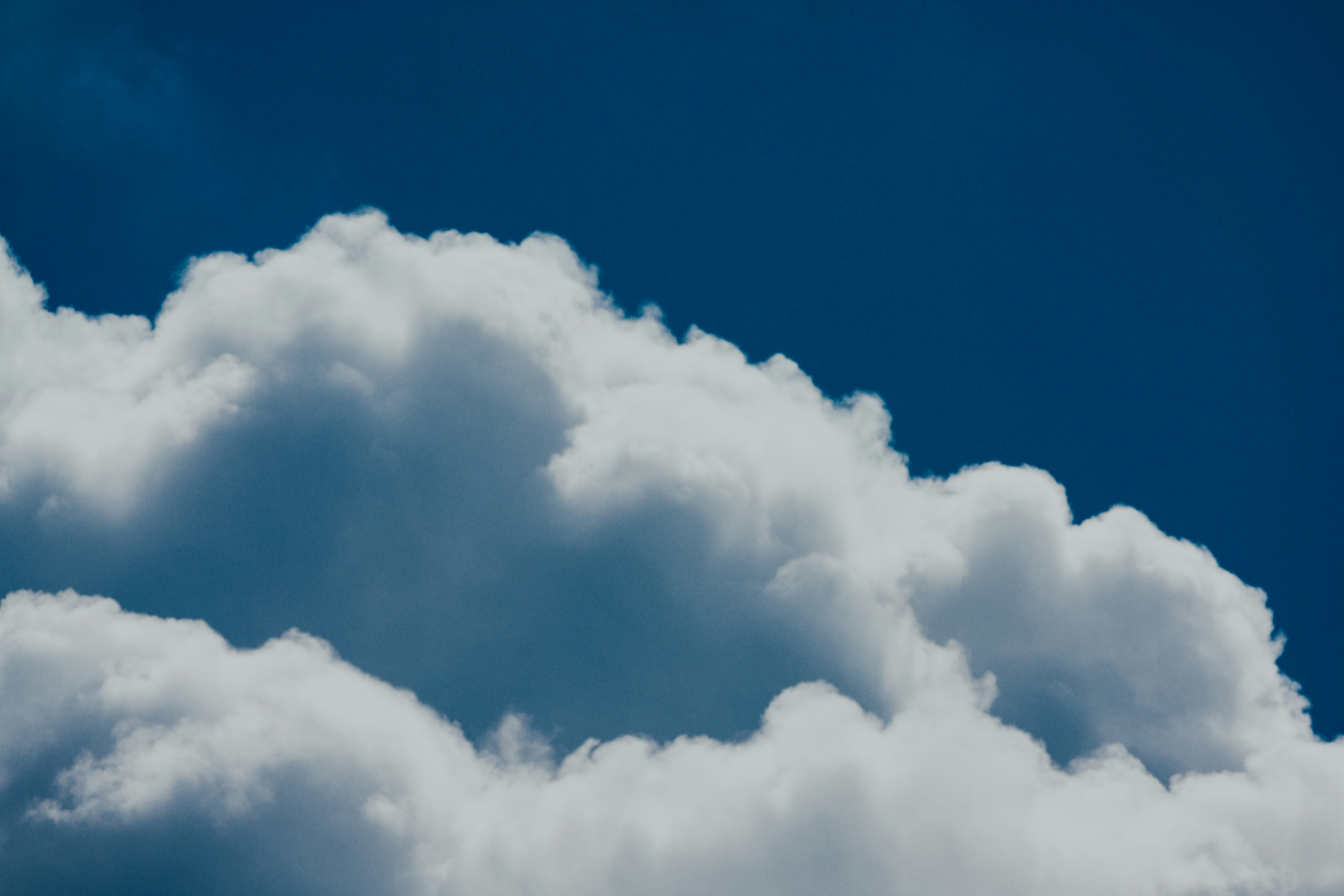 Photo by chuttersnap