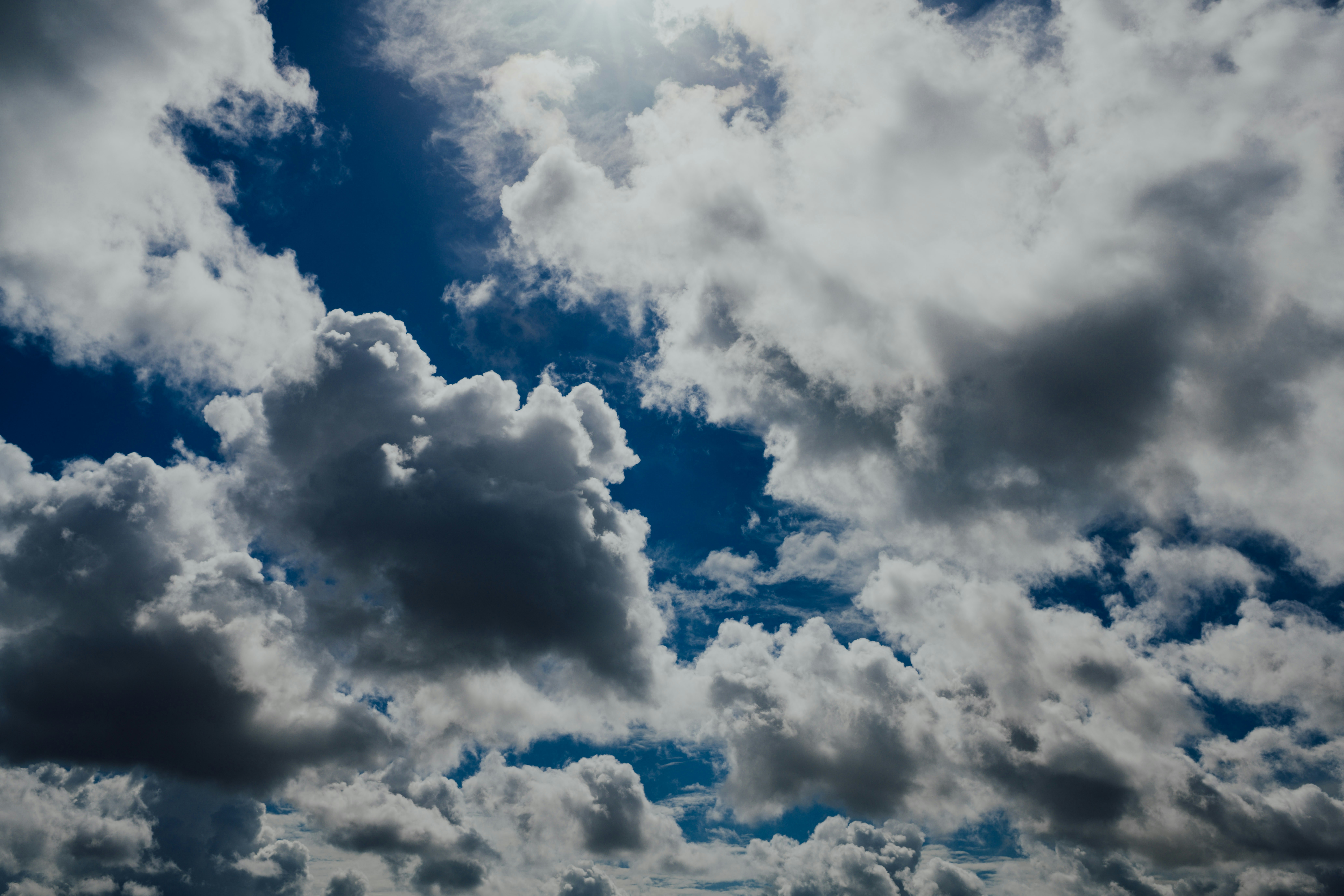 Photo by chuttersnap