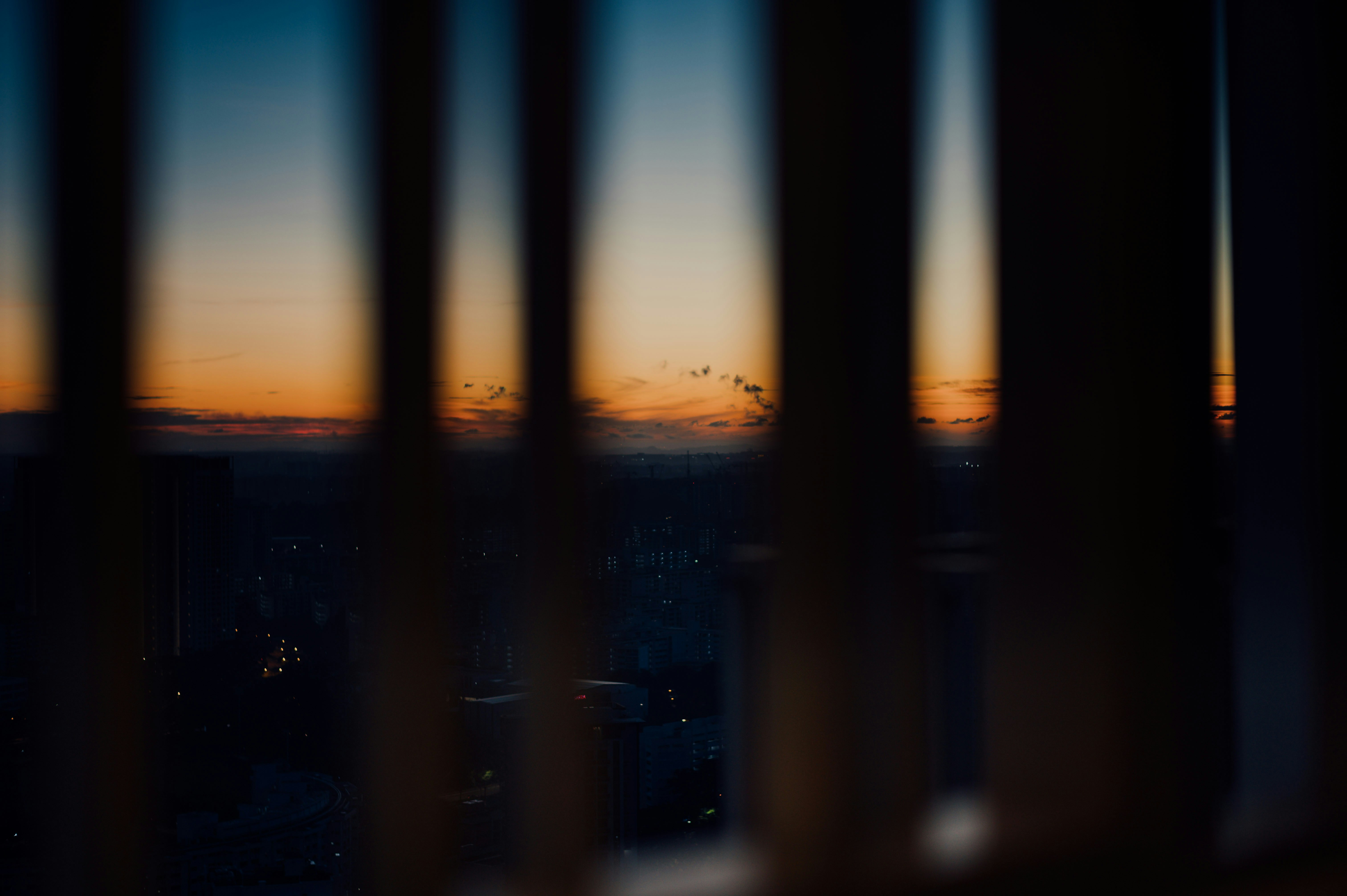 Photo by chuttersnap