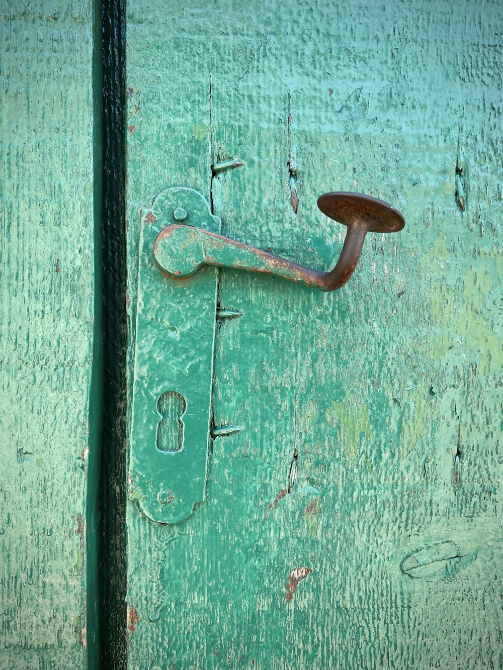 Puerta de madera verde con tirador de acero gris