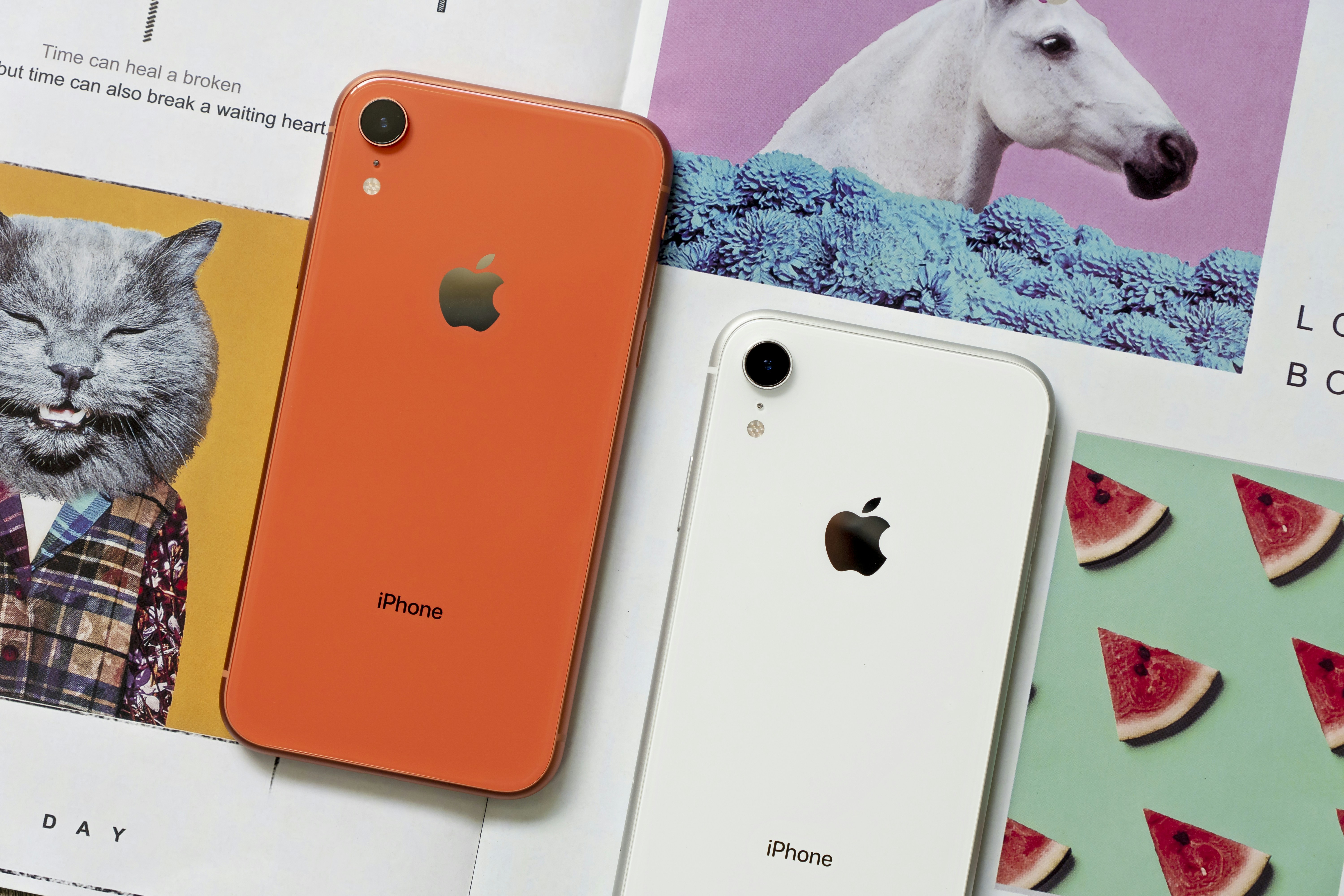 아이폰 17 프로 색상 인기 관련 이미지2