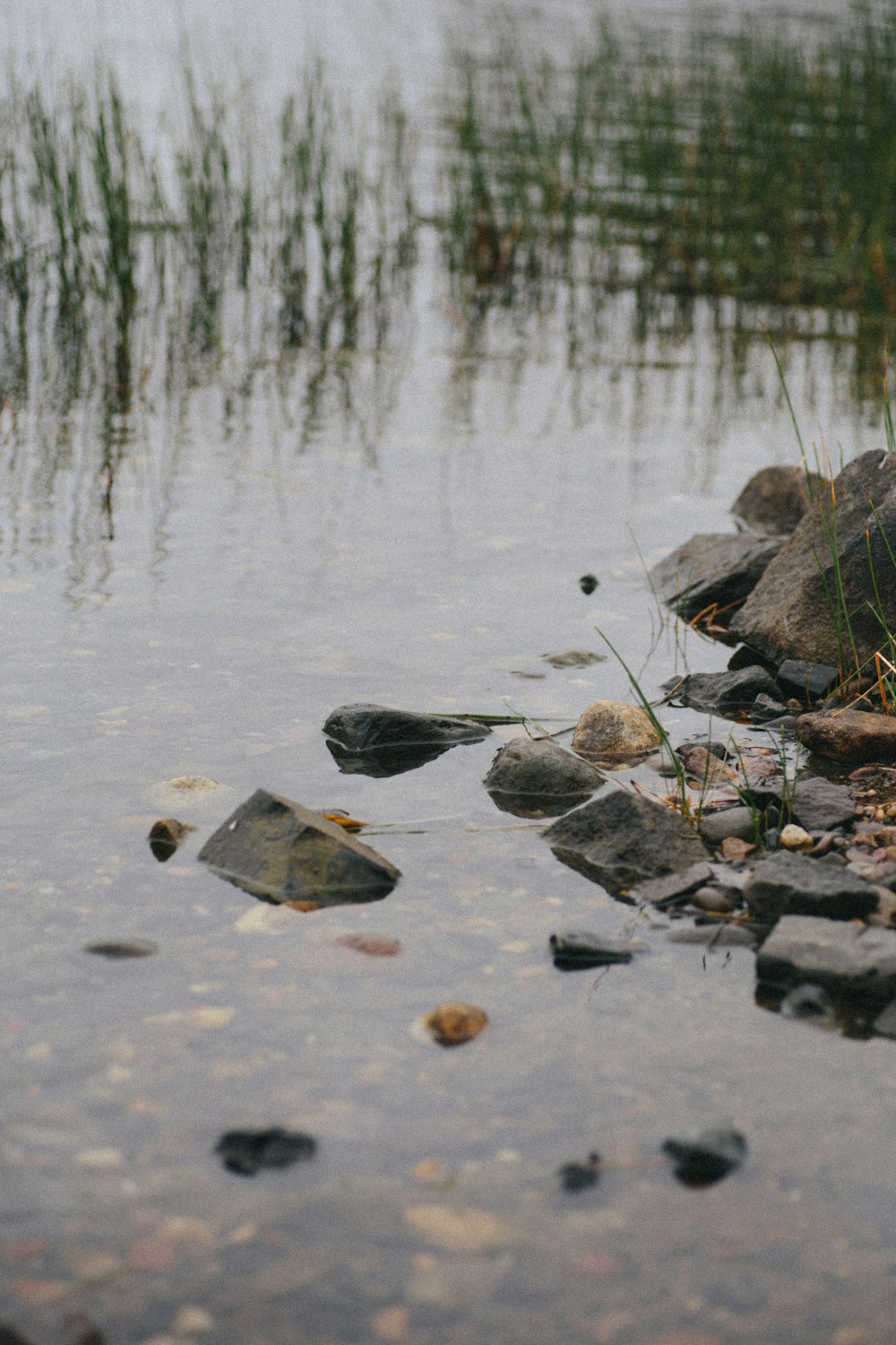 brown and green rocks on water