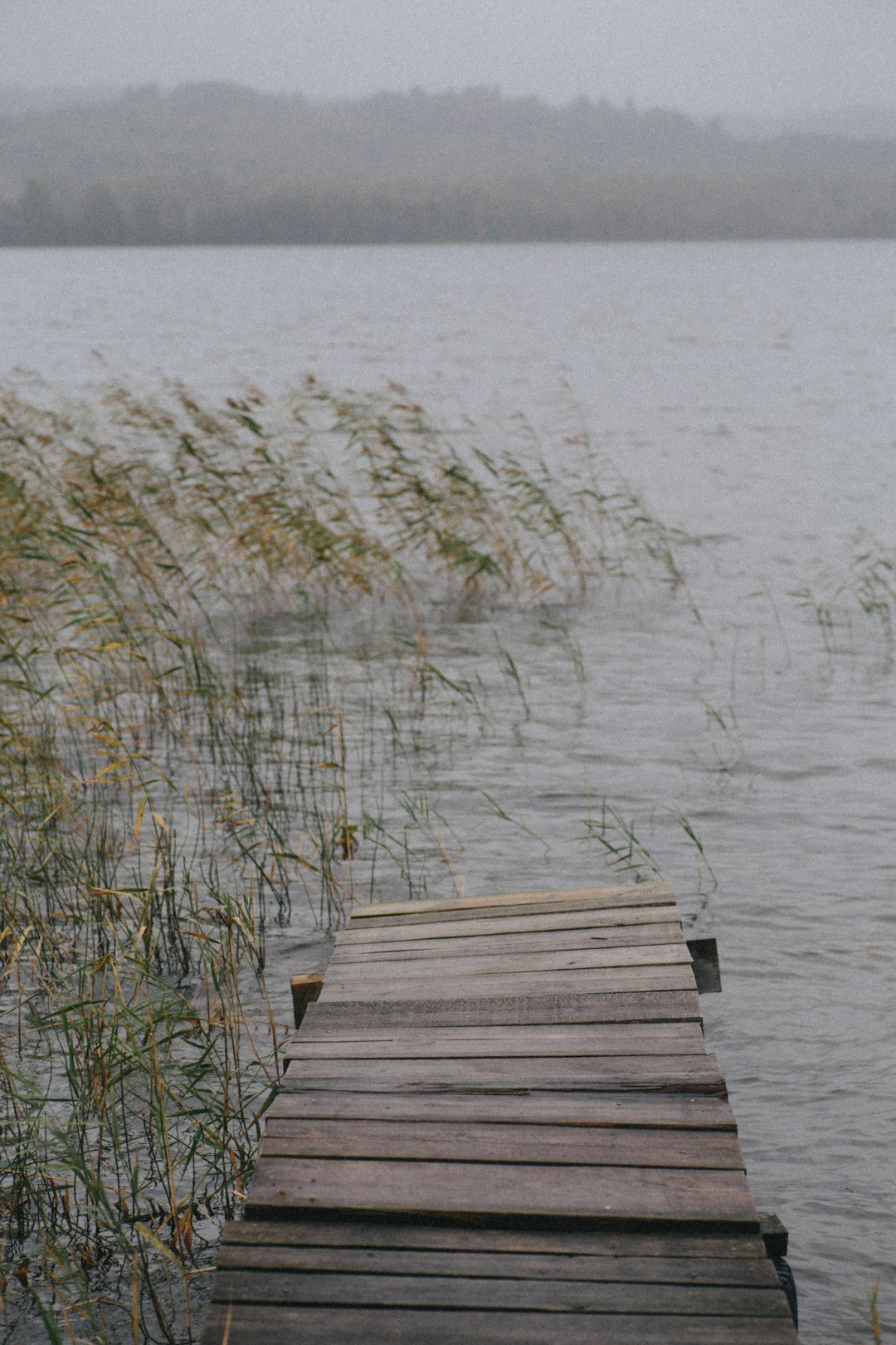 brown wooden dock on body of water during daytime