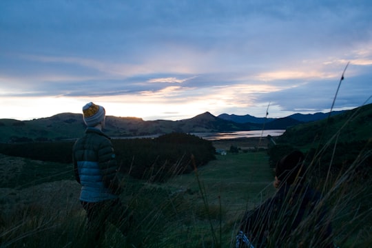 man in green jacket standing on green grass field during daytime in Dunedin New Zealand