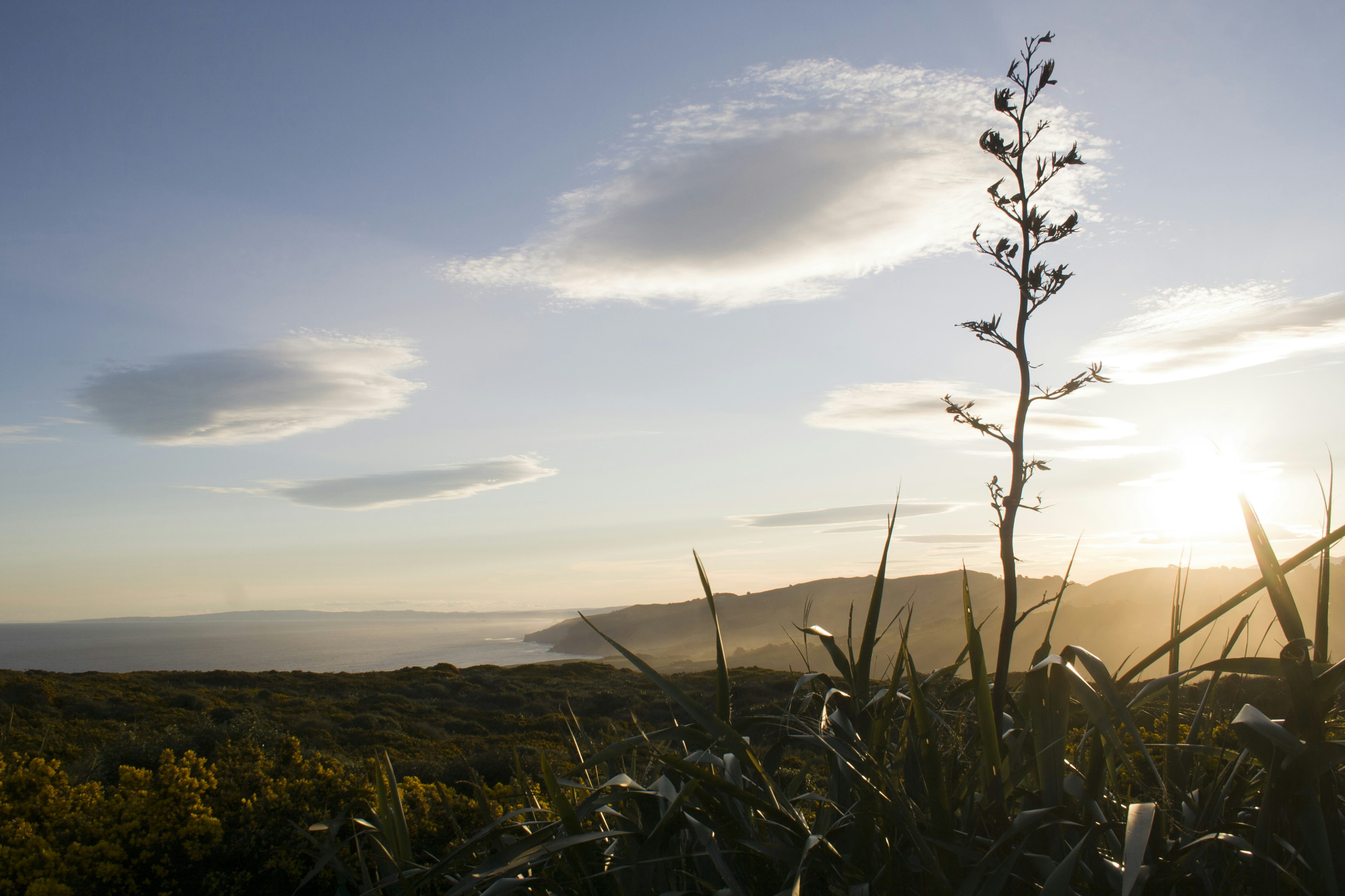 Photo by mathew_waters