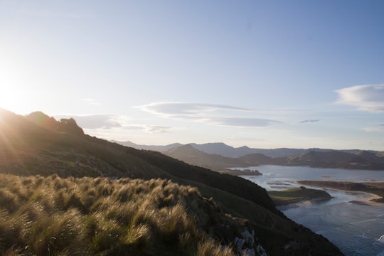 green grass field near body of water during daytime in Dunedin New Zealand