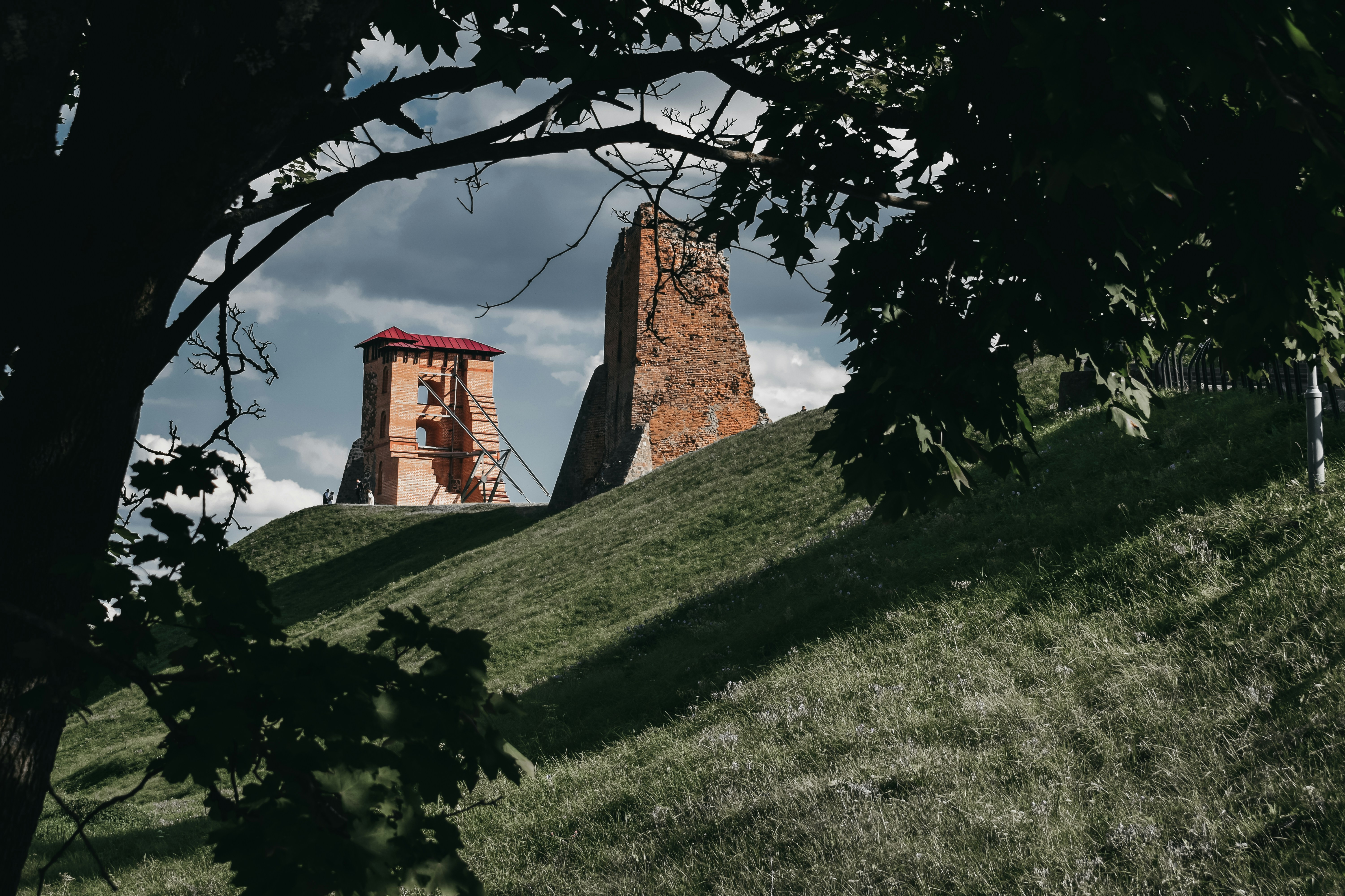 Photo by darya_tryfanava