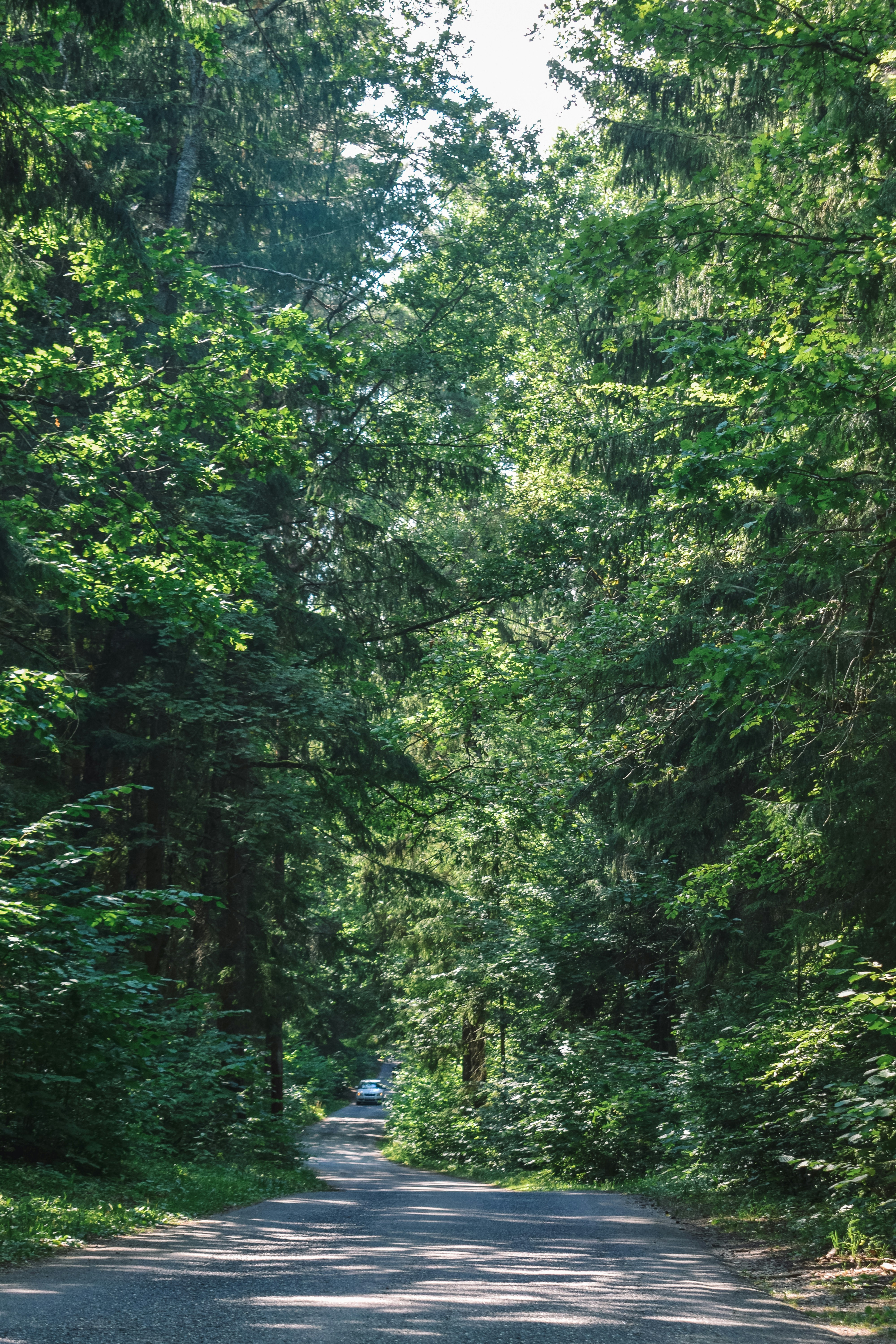 Photo by darya_tryfanava