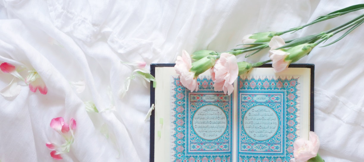 blue and white book on white and pink floral textile