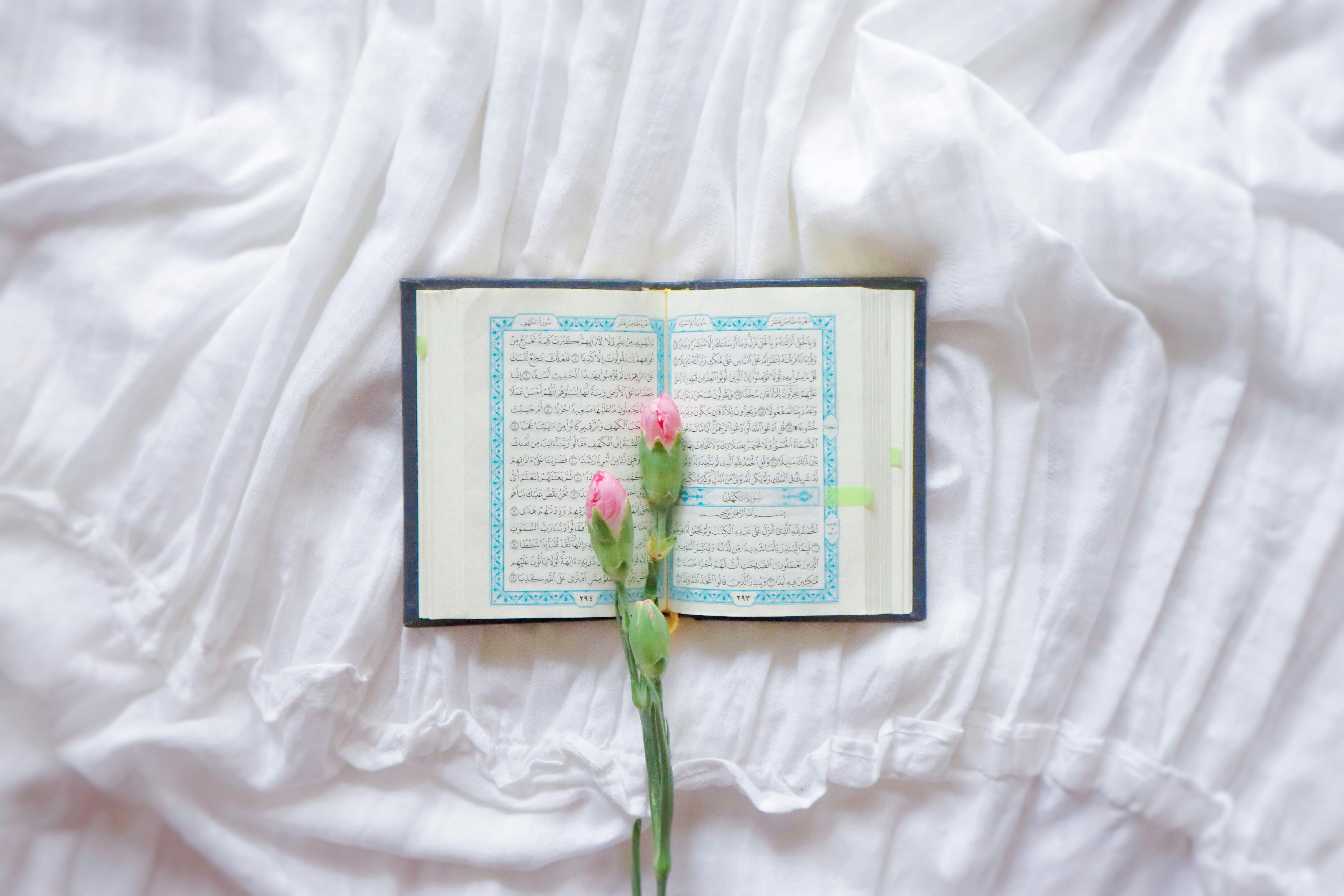 Photo by thedancingrain