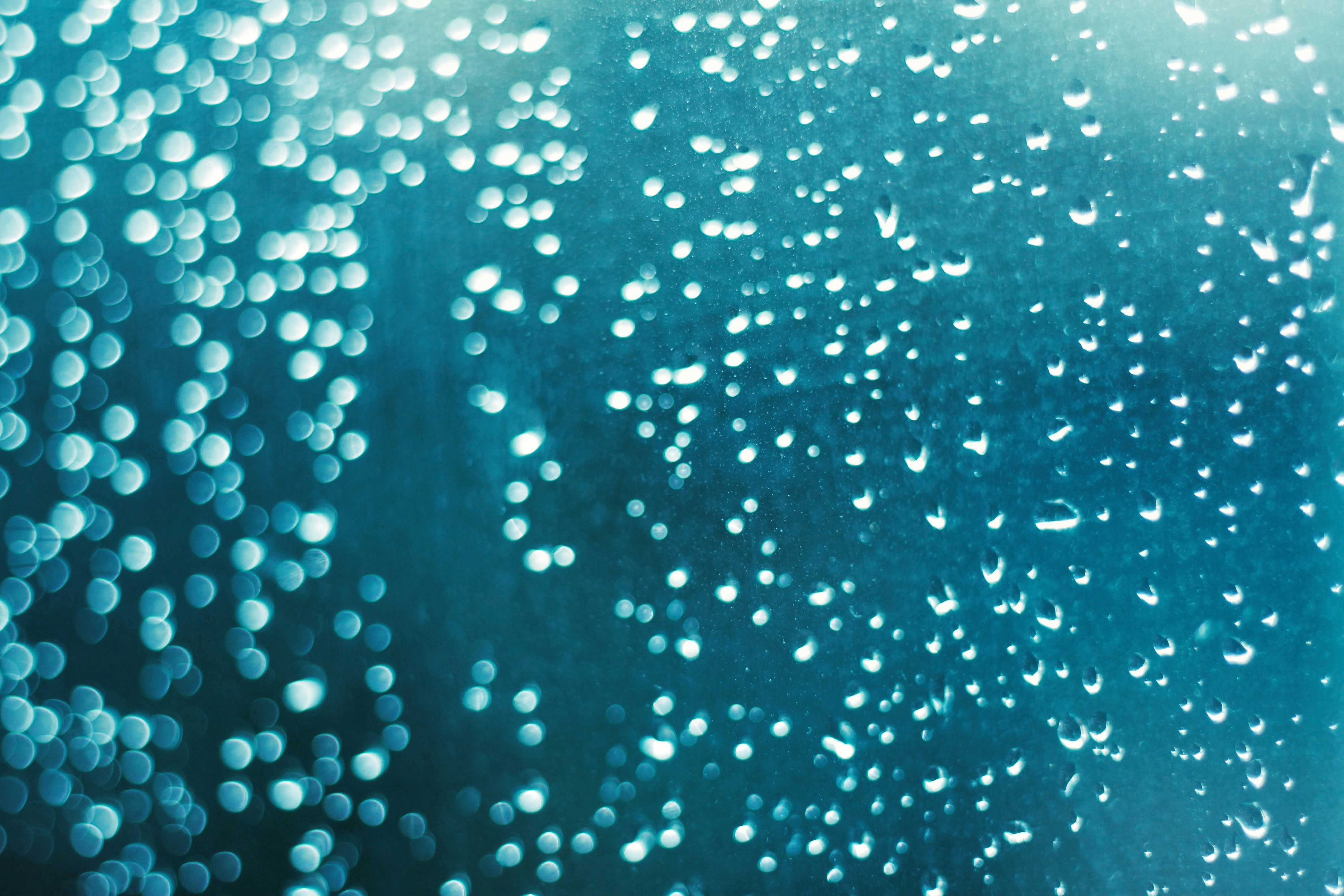 blue and white polka dot textile