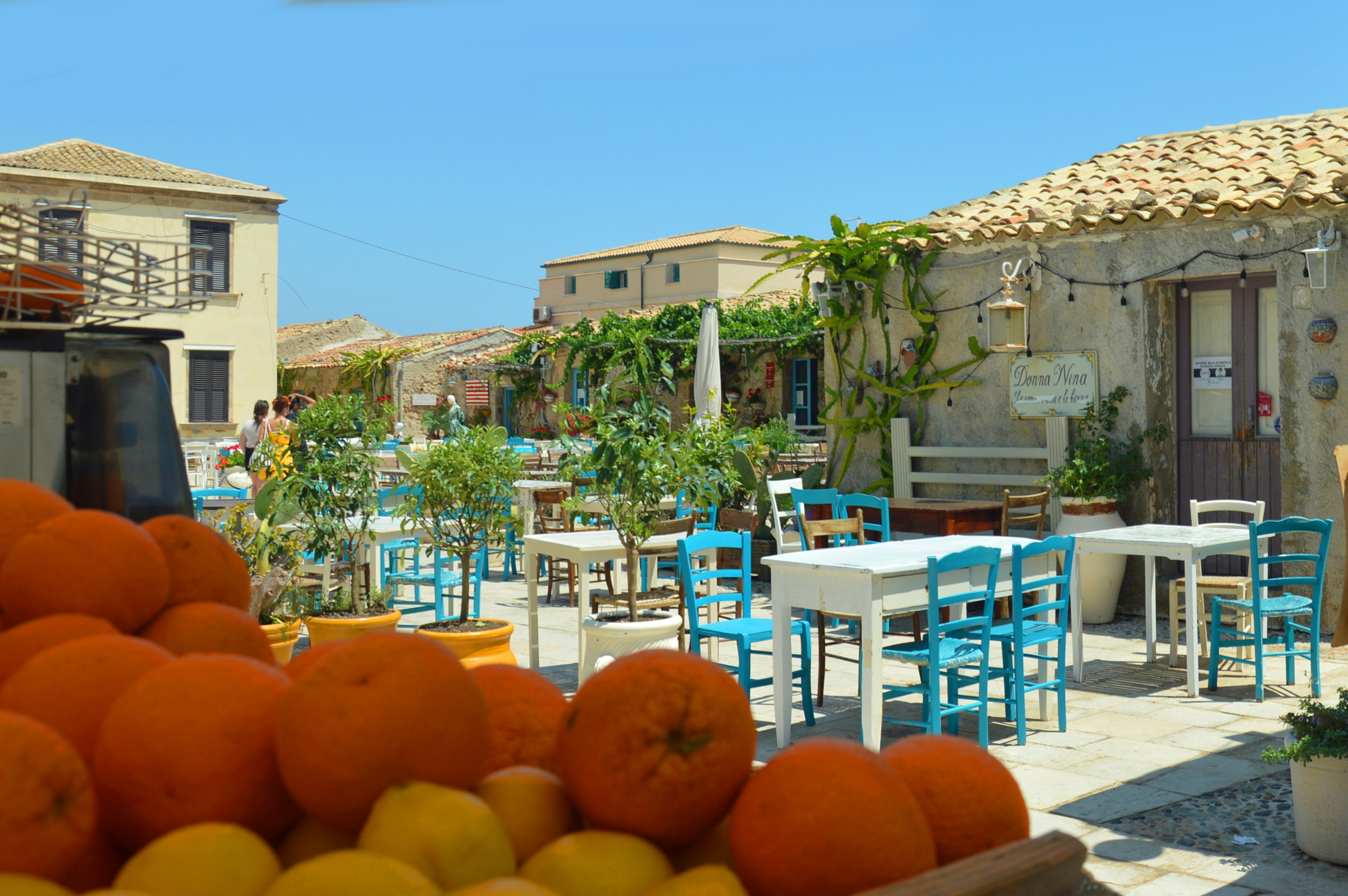 orange fruits on blue and white metal rack, 