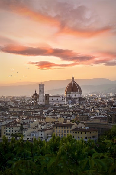 aerial view of city during sunset