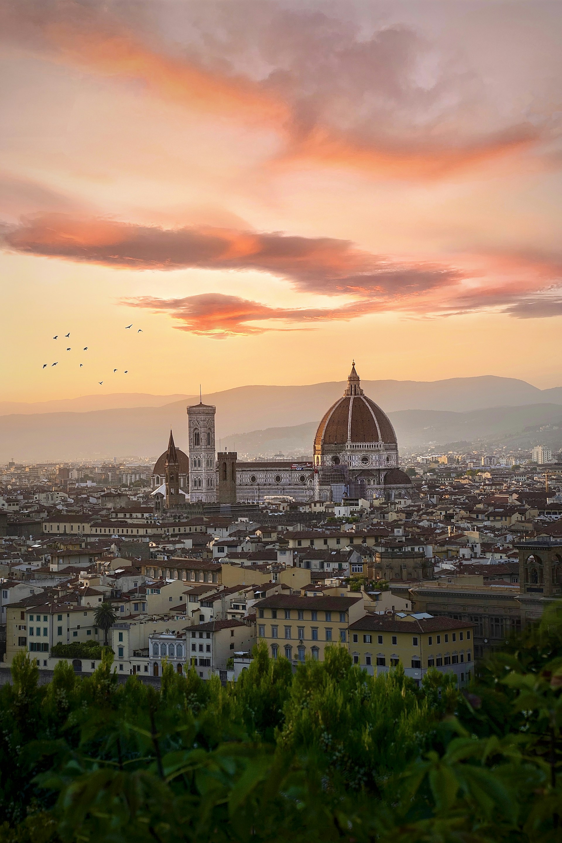 aerial view of city during sunset