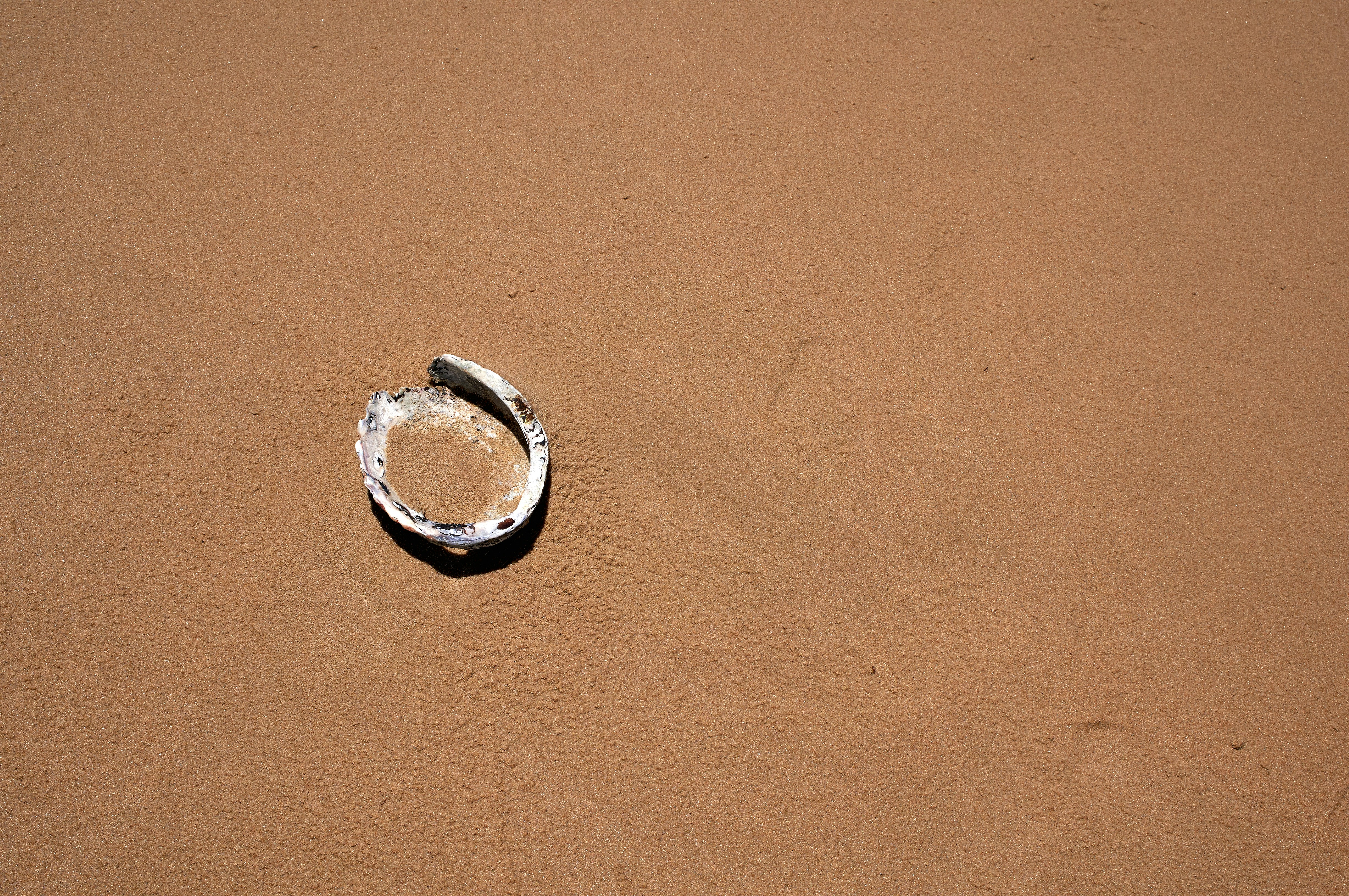 The 75-Cent Rubber Ring That Killed a Spaceship