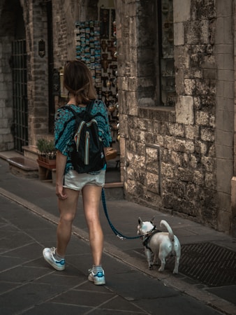 Chien en promenade dans une rue de ville